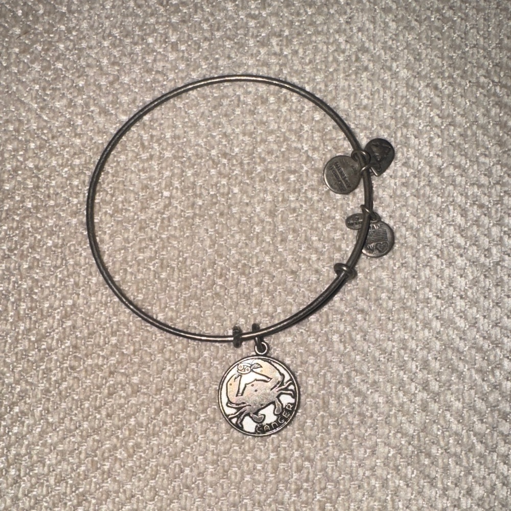 Alex and Ani Silver Charm Bracelet